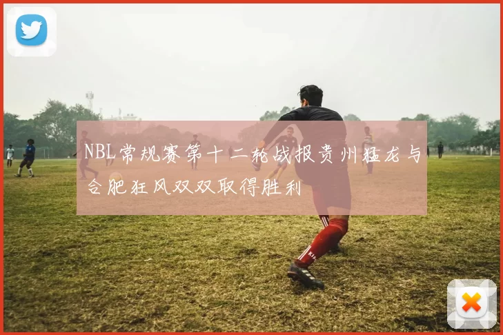 NBL常规赛第十二轮战报贵州猛龙与合肥狂风双双取得胜利