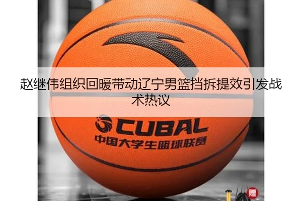 赵继伟组织回暖带动辽宁男篮挡拆提效引发战术热议（leyusports）